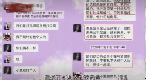 小慧视频爆料最新版本,揭秘最新版本惊人内幕