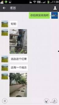 三亚网友爆料新闻最新版,最新版新闻事件聚焦！