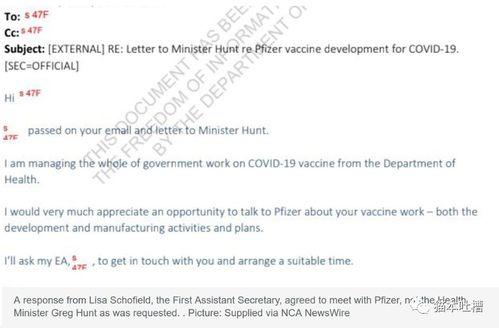 辉瑞高管 爆料最新消息,最新疫苗研发进展及市场策略大揭秘